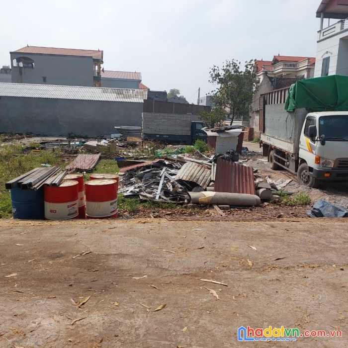 Ất xuân nộn, bờ đê hóng mát. 
cứ chiều về ngắm cảnh thôn quê