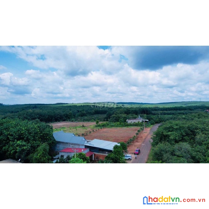 Đất thổ cư chính chủ thị trấn tân phú, huyện đồng phú, bình phước