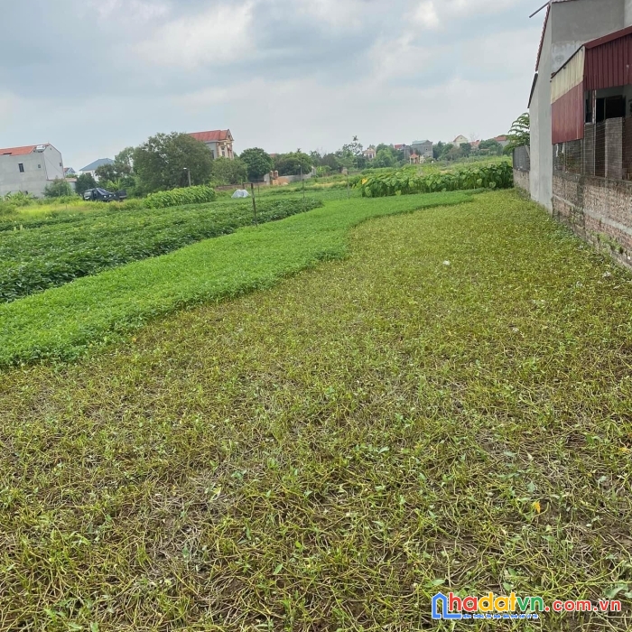 Nhà mình đang muốn bán lô đất cạnh khu công nghiệp lương tài, giá rẻ 3,x tỷ