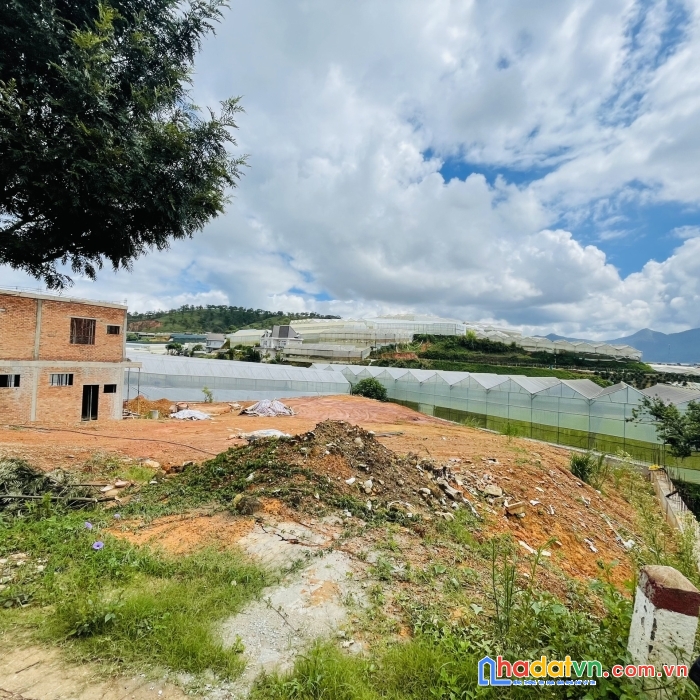 Hạ 2 tỷ bán nhanh lô đất biệt thự đà lạt