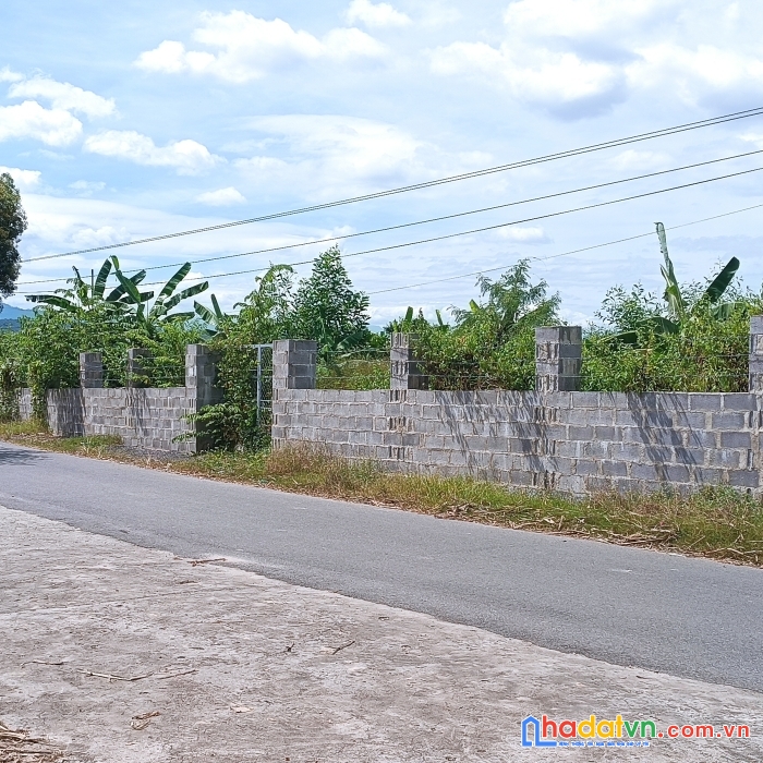Chủ cần bán nhanh lô đất mặt tiền 50m đường thông bên cạnh thị trấn diên khánh khánh hòa