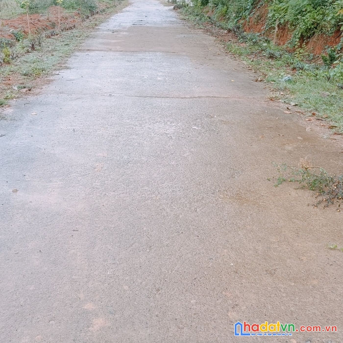 Chính chủ nhờ bán giúp 1200m mặt tiền đường oto tránh, view cánh đồng dịu êm, gần đường ql