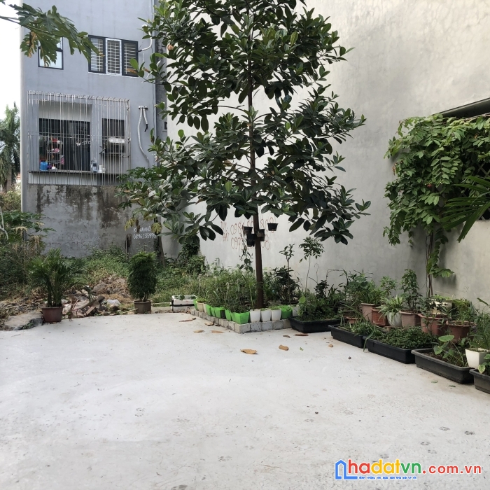 Tôi cần bán gấp lô đất mặt đường khu vực quán nam, hải phòng