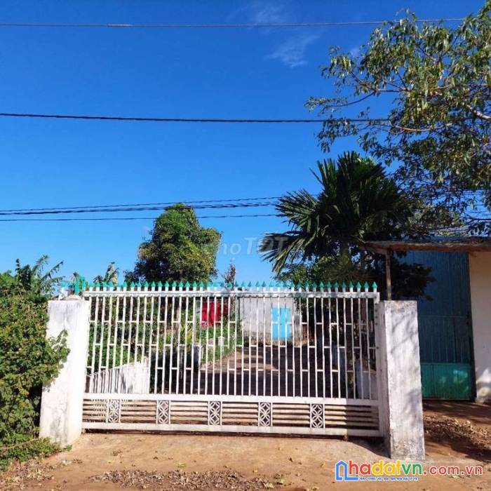 Chính chủ cần bán đất mặt tiền đường liên xã , huyện chư sê, tỉnh gia lai