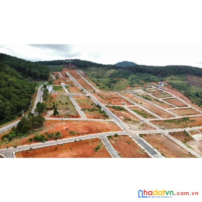 Cần bán gấp đất liên kế đẹp tại kqh vạn xuân, lạc dương, đà lạt 116m2 - giá chỉ 4 tỷ/lô