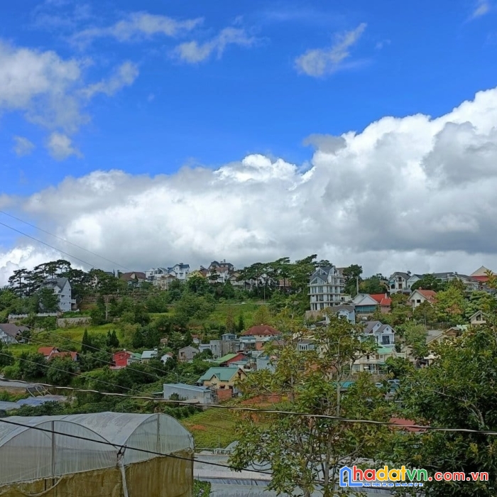 Cần bán gấp đất mặt tiền kinh doanh đường nguyễn hoàng, đà lạt 244m2 giá chỉ 12.5 tỷ