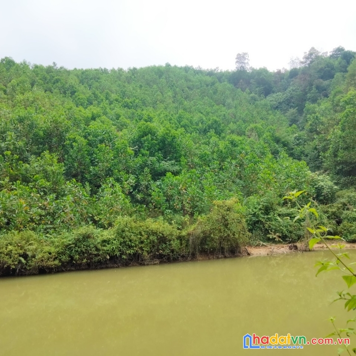 Bán 2,5ha rsx tại hùng sơn, kim bôi, hoà bình giá nhỉnh 900tr.