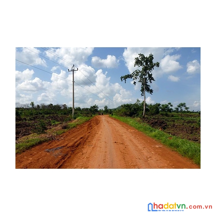 Đất thổ cư tây ninh giá rẻ chỉ từ 170tr, sỗ sẵn