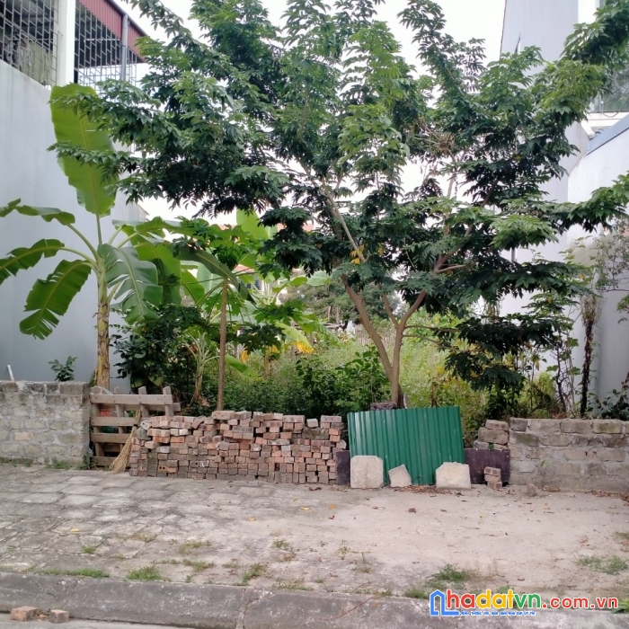 Chính chủ cần bán đất khu đô thị mật sơn thuộc khu đô thị constrexim