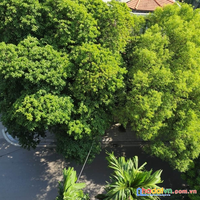 Bán nhà mặt phố quảng khánh - quận tây hồ - view hồ tây.
