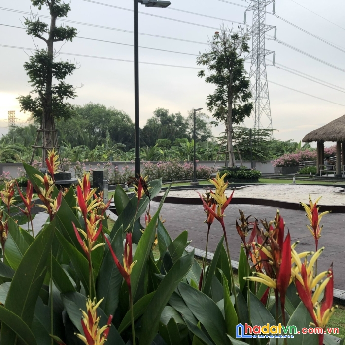 Cần bán chung cư lầu 10 vị trí đẹp tại the park residence huyện nhà bè tp hồ chí minh