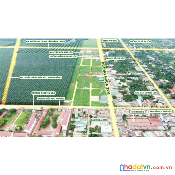 Cơ hội đón tết cùng phú lộc tây nguyên