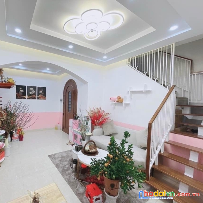 Tỷ bạc có ngay 20m bạch mai nhỏ xinh đón tết