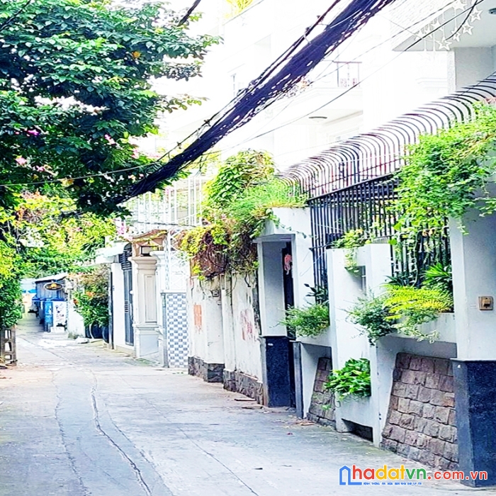 Bán nhà đẹp hẻm xe hơi cách mạng tháng 8, tân bình, 3 tầng, 65m2