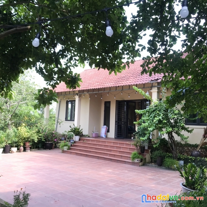 Sở hữu ngay nhà vườn vị trí đẹp tại thành phố hà nội