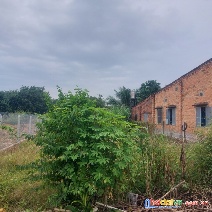 Cần bán lô đất thổ cư 309m2, sổ riêng, chủ ngộp bán không qua cò lái
