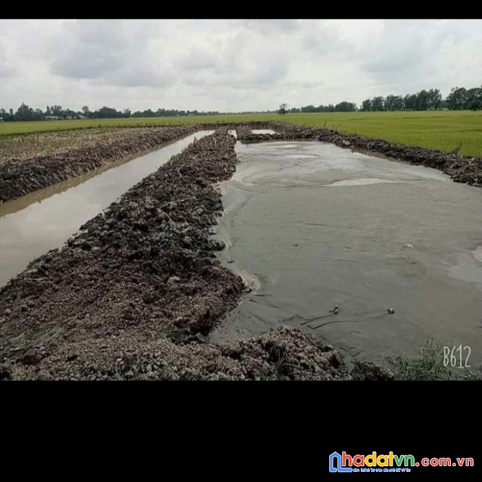 Cần bán đất vị trí đẹp tại đồng tháp