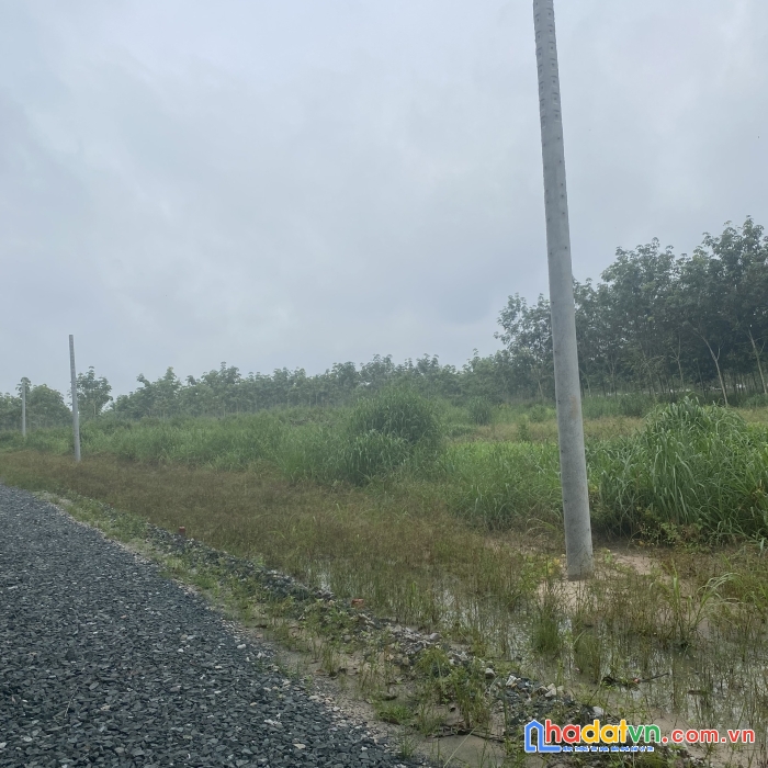 Xả 2 lô đất kdc phường minh long, tx chơn thành