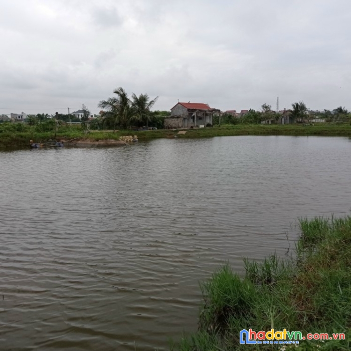 Cần bán đất ao tại thị trấn rạng đông nghĩa hưng nam định