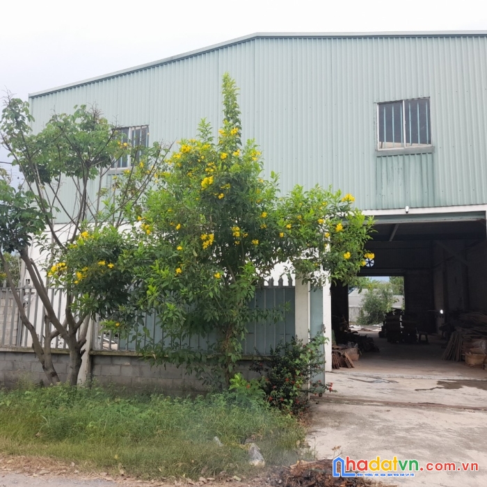 Xưởng 1/ đường bến than củ chi 629m2 tc ful 12m x45m chỉ 12 tỷ