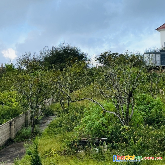 Chính chủ cần bán lô đất vị trí đẹp tại tp đà lạt