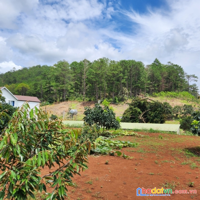 3300m2 đất hiệp an đức trọng đường ôtô view đẹp làm dự án đẹp