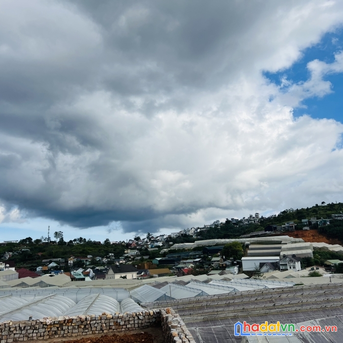 Cần bán gấp đất giá rẻ đường nguyễn đình quân, đà lạt giá chỉ 1.2 tỷ