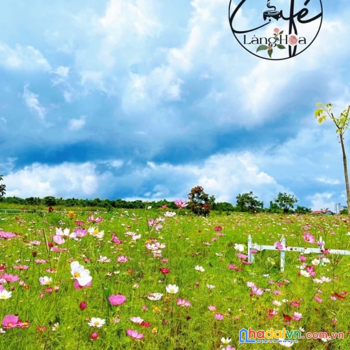 Mở bán 6 suất nội bộ giá full 949tr/190m2. chiết khấu 4%. bank vay 50%. có sổ sẵn, công chứng ngay.