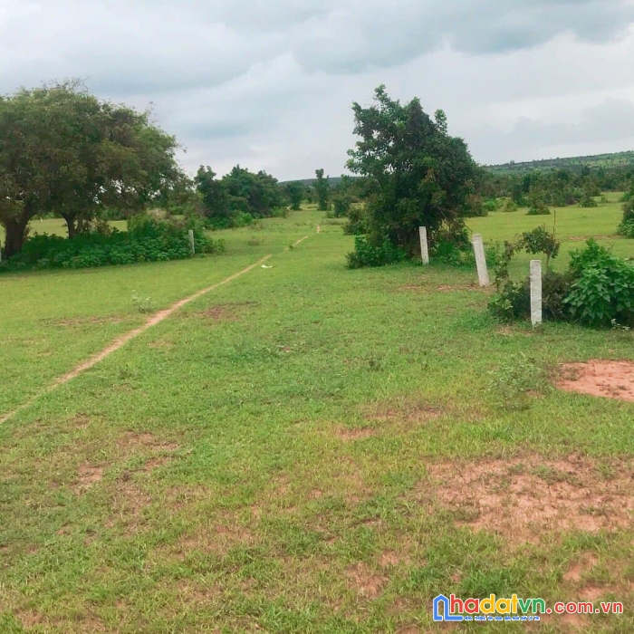 Còn lô đất vườn đầu tư lâu dài dưới 1 tỷ