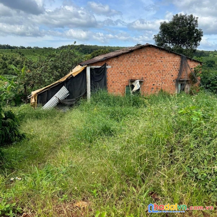 Cần bán gấp lô đất view ruộng siêu đẹp vị trí đắc địa tại đăk đoa - gia lai