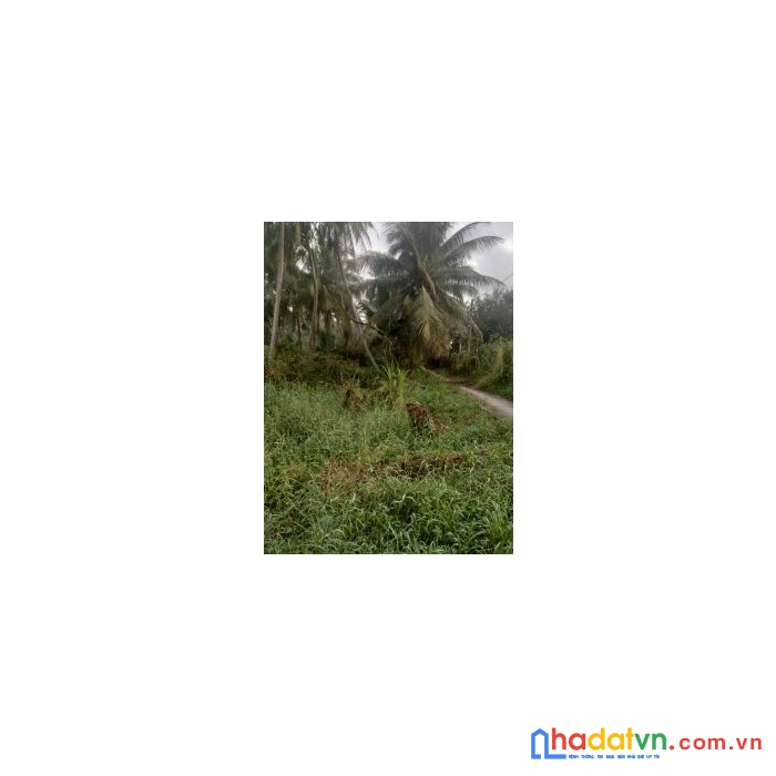 Chính chủ cần bán gấp lô đất vị trí đẹp tại bến tre