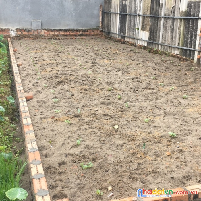 Nhỉnh tỷ có ngay 46m đình trung-xuân nộn đường ô tô đỗ tận cửa