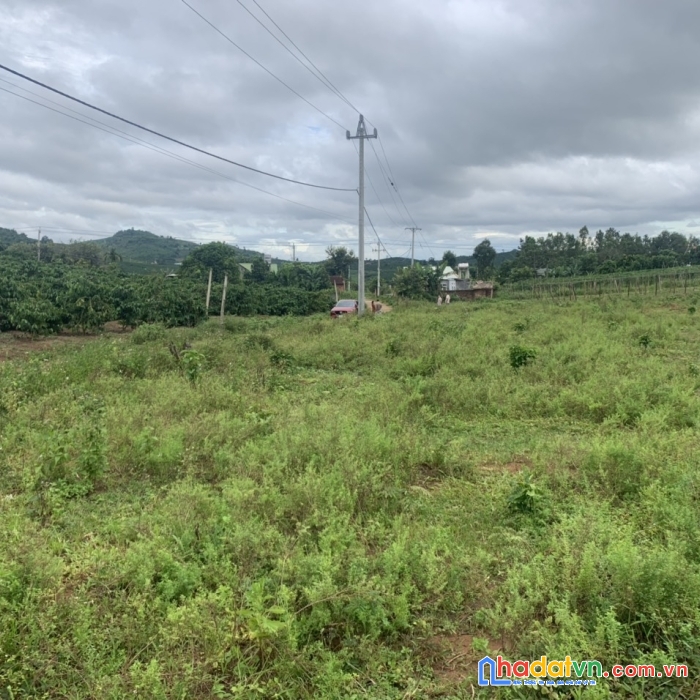 Đất chính chủ trung tâm xã đắk ngọc, huyện đắk hà, tỉnh kon tum