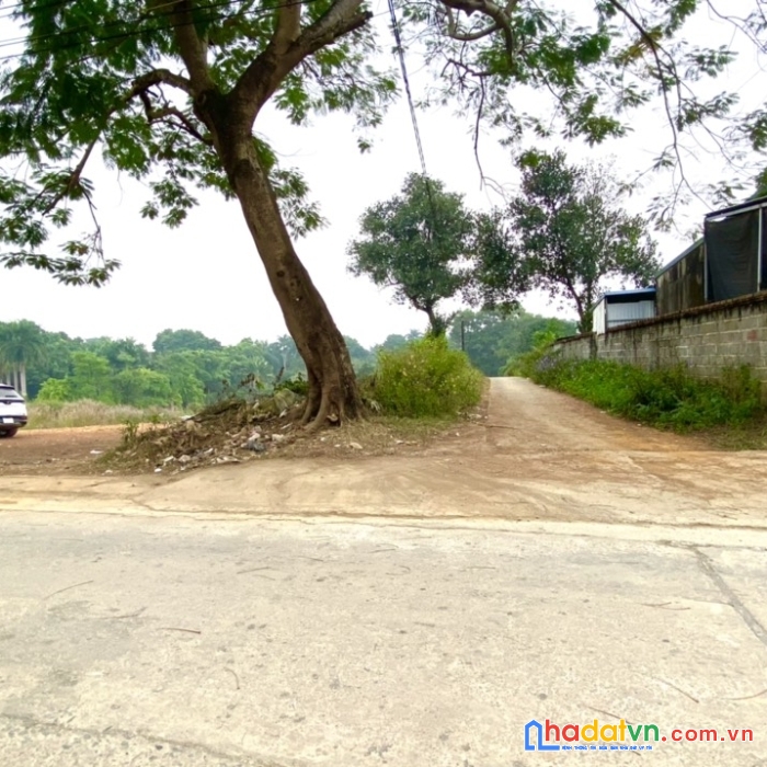 Chủ gửi bán khu đất phân lô 5 lô  tại trục chính hòa sơn - lương sơn - hòa bình phù hợp đầu tư