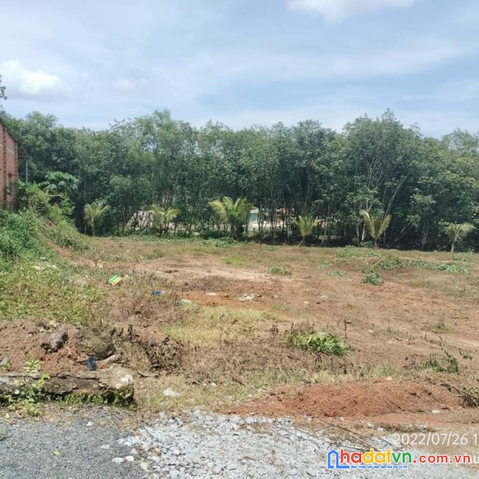 Chính chủ cần bán đất diện tích rộng tại chơn thành