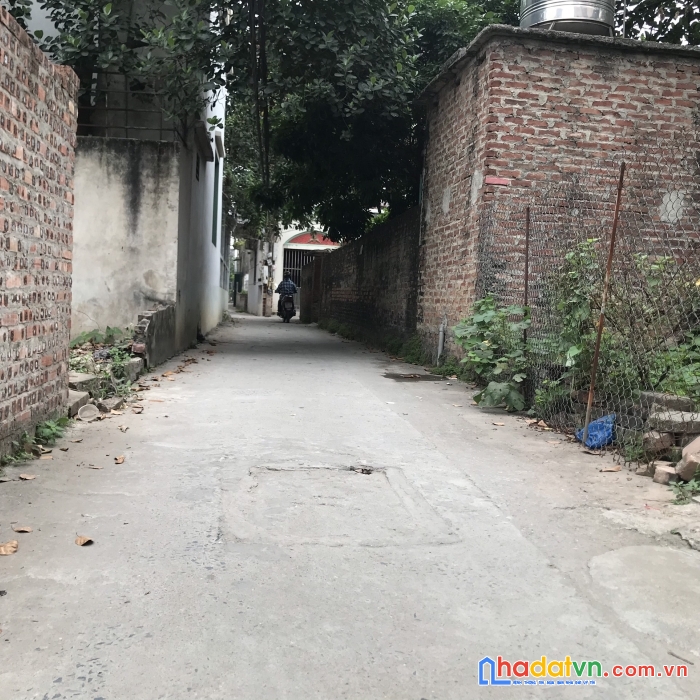 Bán đất hải bối ngõ thông tứ phía giá chỉ hơn tỷ gần ngay chợ bỏi