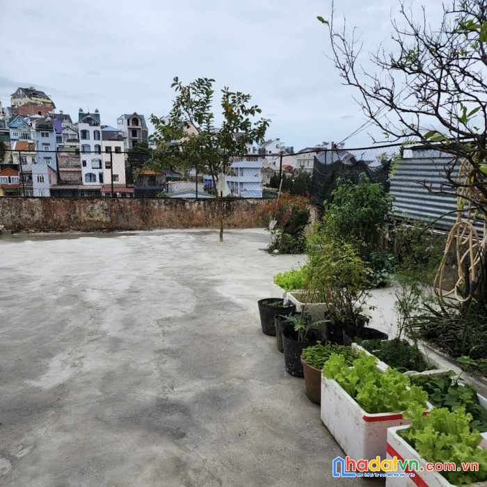 Cần bán gấp nhà biệt lập view thoáng ngay trung tâm đường lê hồng phong, đà lạt giá 19 tỷ