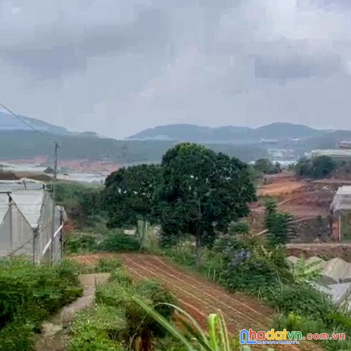 Bán gấp đất nền biệt thự rộng view thoáng đường cao thắng, đà lạt 1398m2 giá 15 tỷ