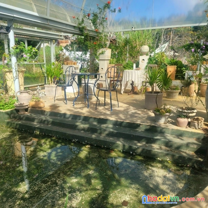 Chủ ngợp hạ giá lô đất dt 700m2  từ 18 tỷ còn 11 tỷ ở đống đa, phường 3, tp. đà lạt