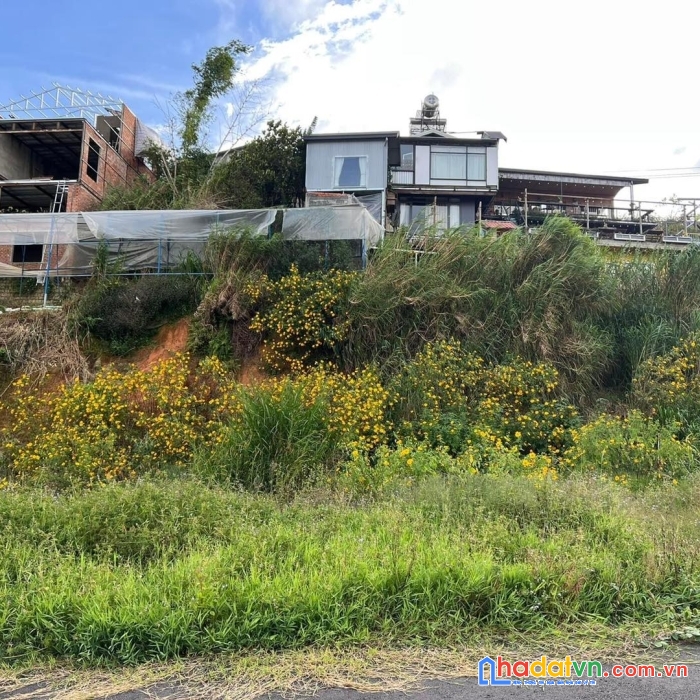 Bán đất biệt lập phường 7 đà lạt 327m2 view đẹp