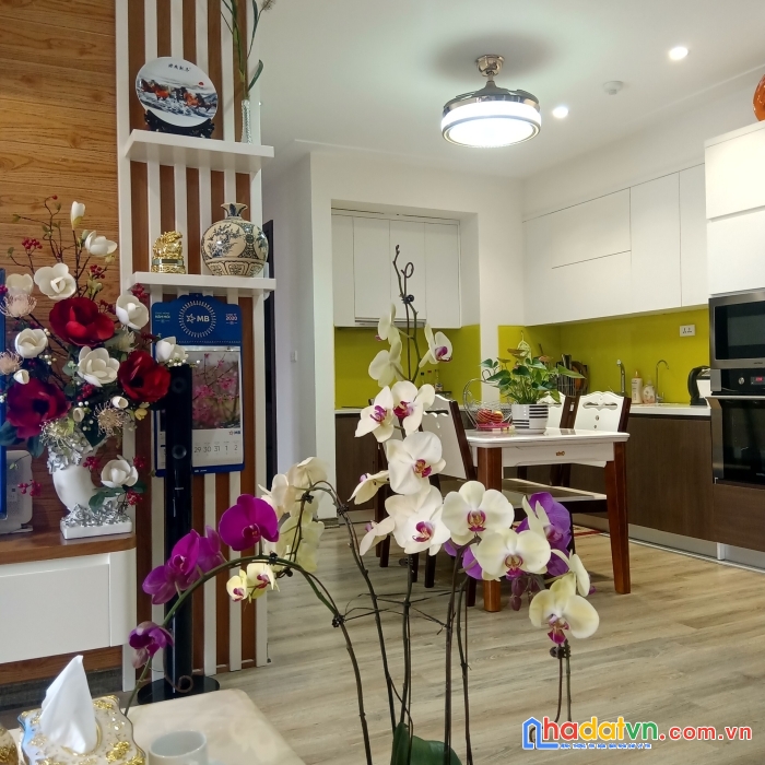 Chính chủ cần bán căn hộ tầng 5, chung cư northern diamond long biên, hà nội.