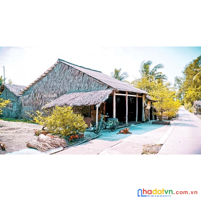 Em chuyên bán đất bà rịa vũng tàu, đường ô tô, tặng vườn cây ăn quả