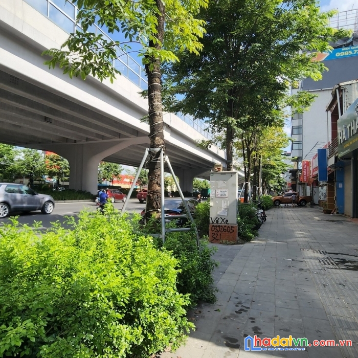 Chính chủ bán mảnh đất mặt  phố phạm văn đồng dt 115m2 mt 6m giá 29 tỷ