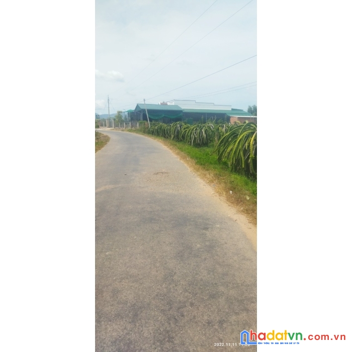 Chính chủ cần bán đất thôn hiệp hòa xã tân thuận, huyện hàm thuận nam, bình thuận