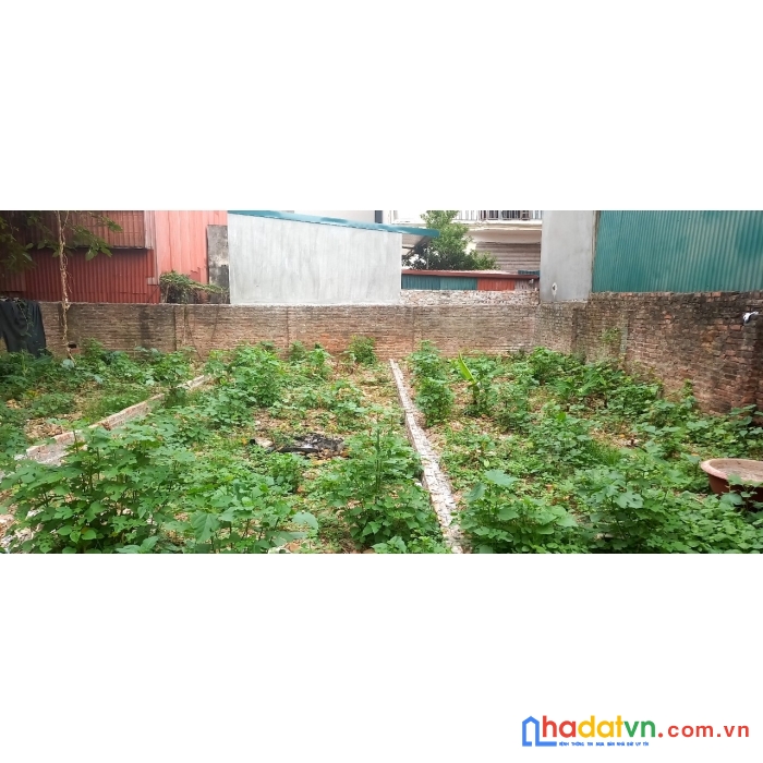 Bán đất tại liên ninh, thanh trì. diện tích 4.1x15 giá 42tr/m