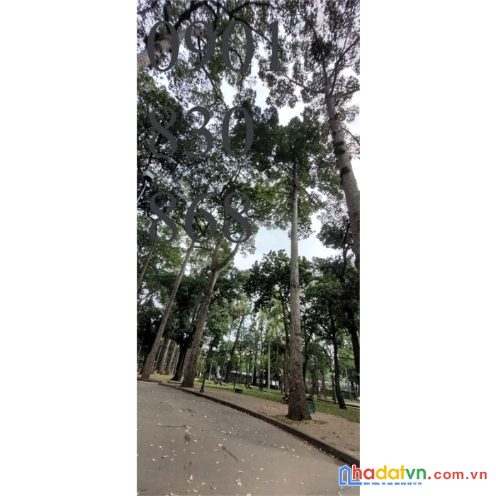 Đất đẹp, ngang 25m, quốc lộ n2, đức hòa. chính chủ bán 1.9 tỷ