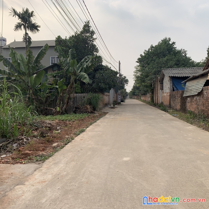 Thanh khoản 2 lô liền nhau mặt tiền 6m trục kinh doanh siêu đẹp thôn trại giềng, thanh vân, tam