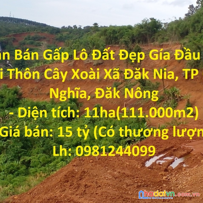 Cần bán gấp lô đất đẹp gía đầu tư tại thôn cây xoài xã đăk nia, tp gia nghĩa, đăk nông