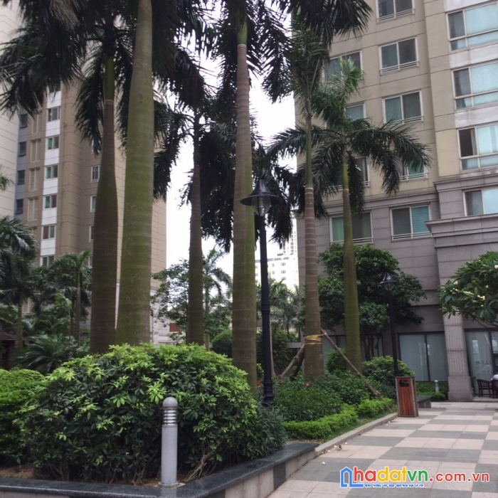 Chính chủ cần tiền đi định cư nước ngoài nên bán gấp cc cao cấp huyndai hillstate, hà đông