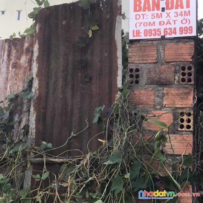 Chính chủ cần bán gấp lô đất đẹp vị trí đắc địa tại tỉnh gia lai